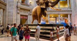 Unique Things to Do in Washington DC