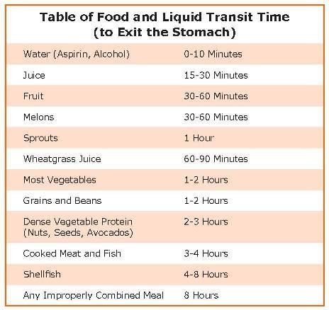Food digestion time chart