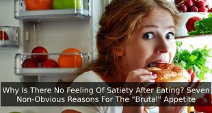 Why Is There No Feeling Of Satiety After Eating? Seven Non-Obvious Reasons For The "Brutal" Appetite