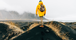 Discovering the Wonders of bakecaincontrii.com