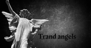 trand angels