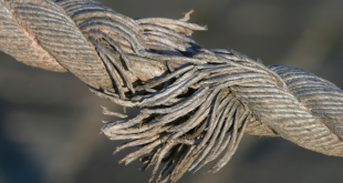 The Power of hm4387-n – Unravelling the Secret