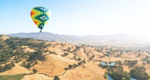 Fun Things to Do in Napa Valley