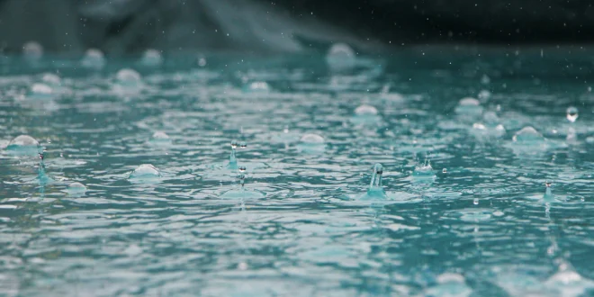 Harnessing Rainwater